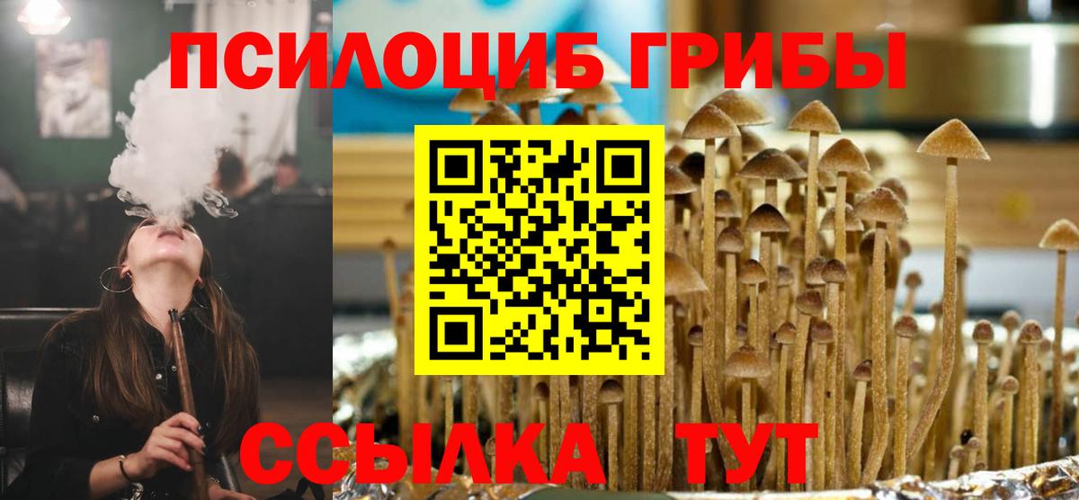 Галлюциногенные грибы MAGIC MUSHROOMS Сургут
