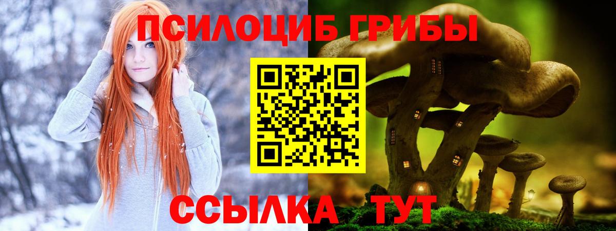 Сургут  Галлюциногенные грибы MAGIC MUSHROOMS  Вход с VPN 